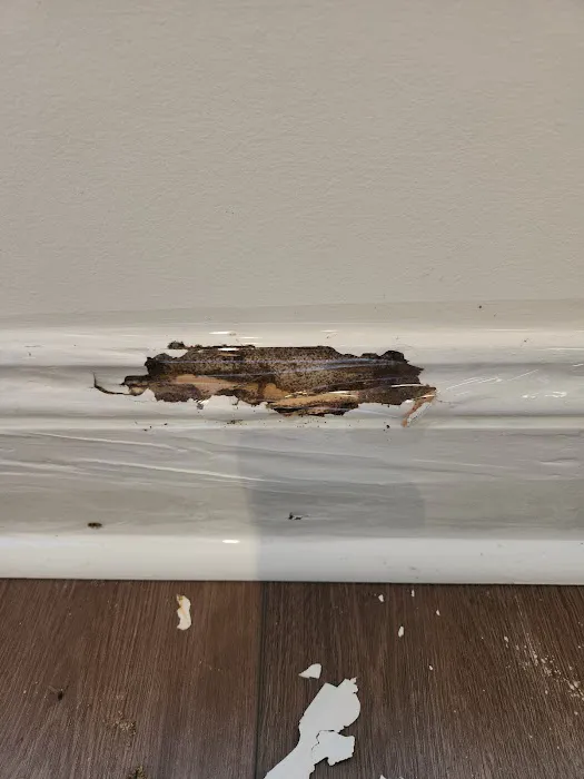 Barrett Pest & Termite Services Picture 8