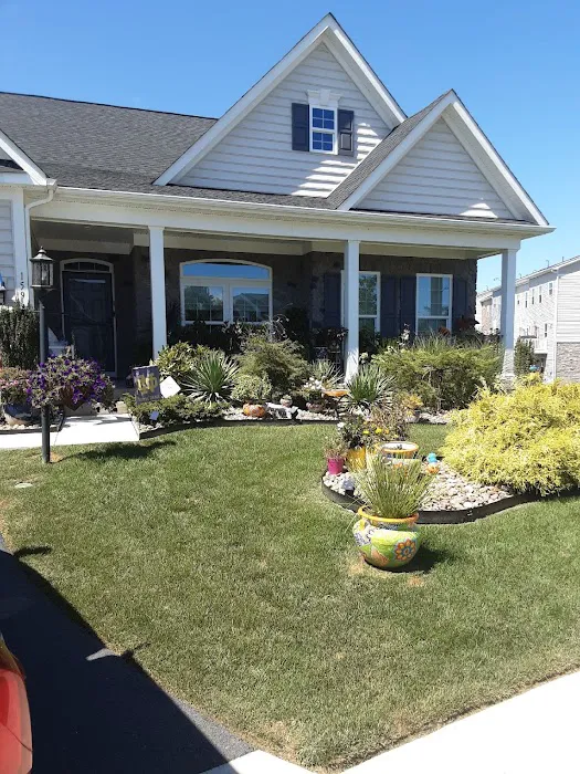Enviro-Tech Pest Services Picture 8