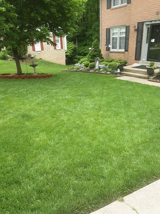Enviro-Tech Pest Services Picture 7