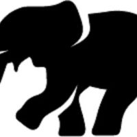 Mitchell Pest Services ico
