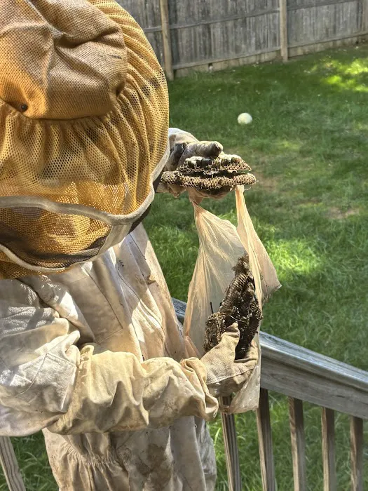 Environmental Pest Control Picture 3