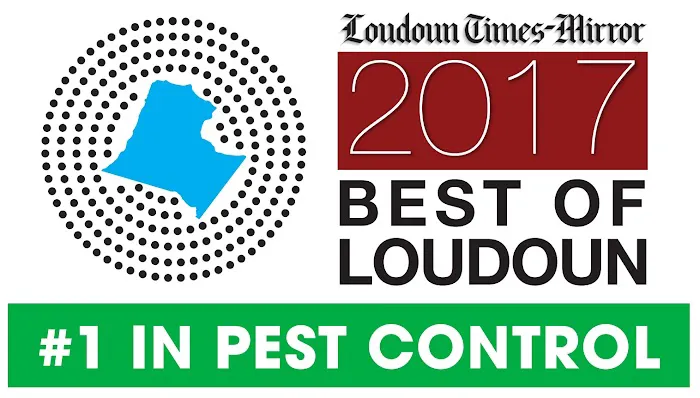 Environmental Pest Control Picture 4