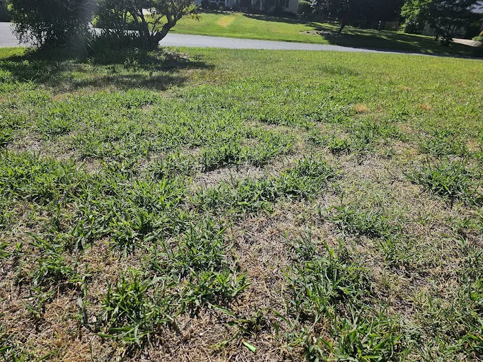 Weed Man Lawn Care Picture 10