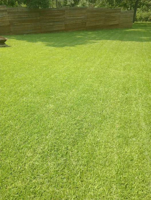Weed Man Lawn Care Picture 4