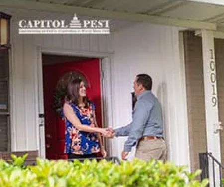 Capitol Pest