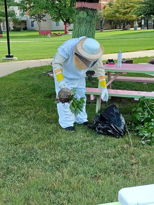 Total Termination Pest Control Picture 9
