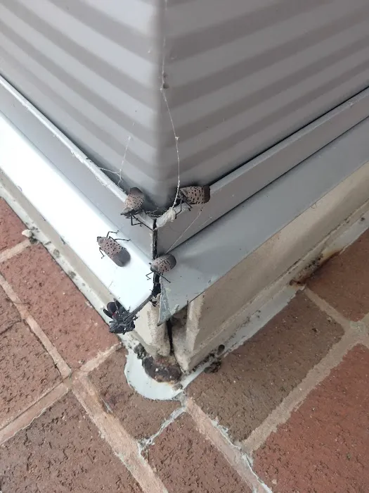 Total Termination Pest Control Picture 3