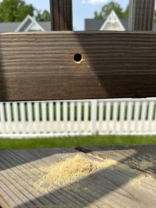 Eco Pest Control Picture 2