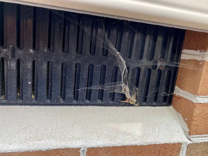 Eco Pest Control Picture 5