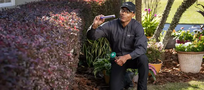 Loyal Termite & Pest Control Picture 6