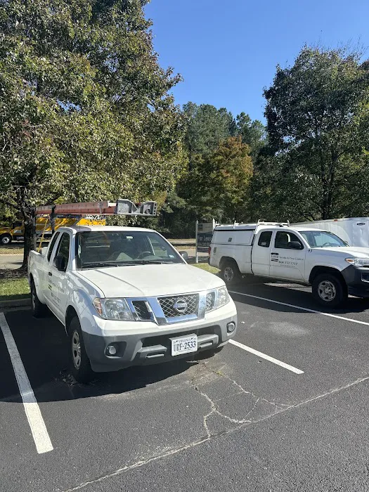 Loyal Termite & Pest Control Picture 7