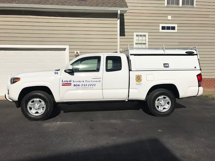 Loyal Termite & Pest Control Picture 2
