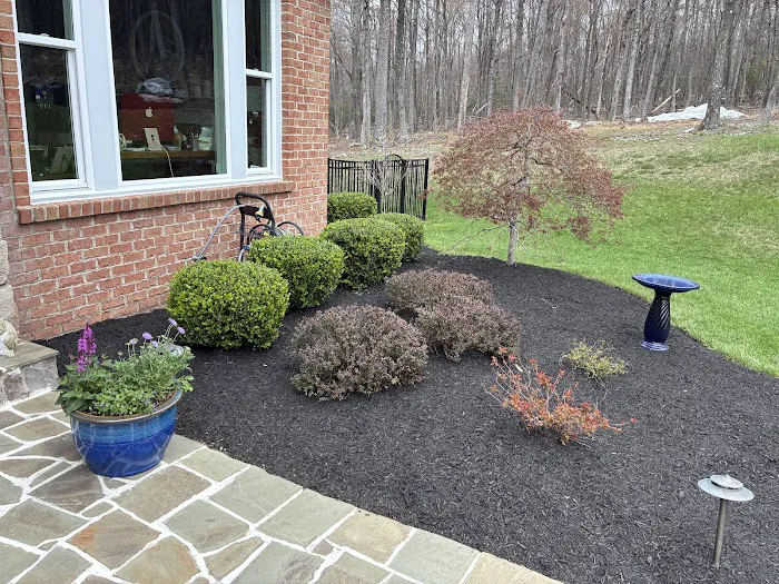 Environmental Pest Control Picture 7