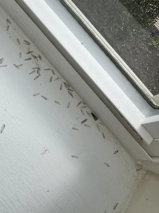 Bust-A-Bug Picture 5