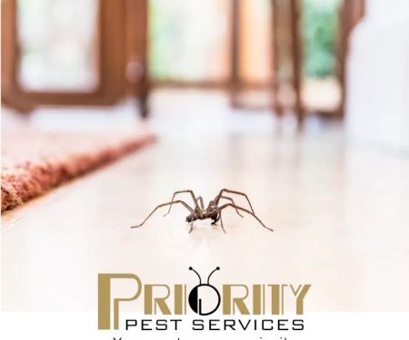 Priority Pest Services Peninsula