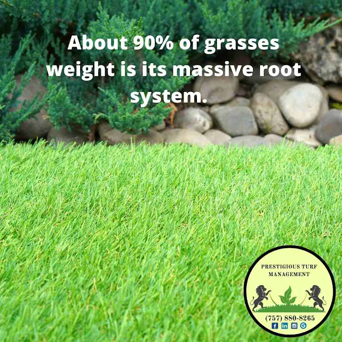 Prestigious Turf Management Picture 6