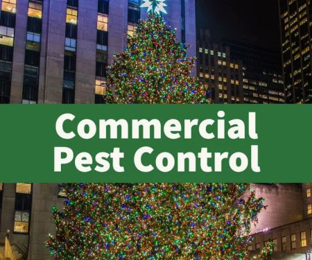 PestNow of Central Virginia | Richmond