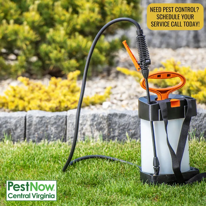 PestNow of Central Virginia | Richmond Picture 9