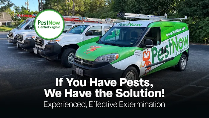 PestNow of Central Virginia | Richmond Picture 4