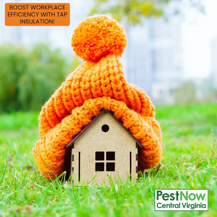 PestNow of Central Virginia | Richmond Picture 10