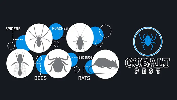 Cobalt Pest Control Picture 3