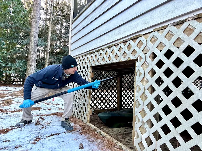 ClearDefense Pest Control Picture 7
