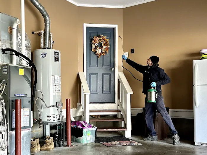 ClearDefense Pest Control Picture 6