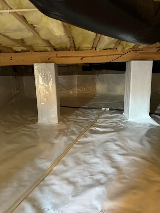 GreenShield Home & Pest Solutions - Richmond Picture 7