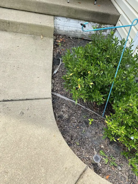 Richmond Animal Exterminator Picture 8
