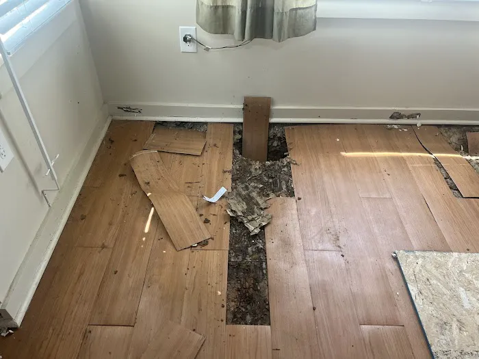 All American Pest Control Picture 2