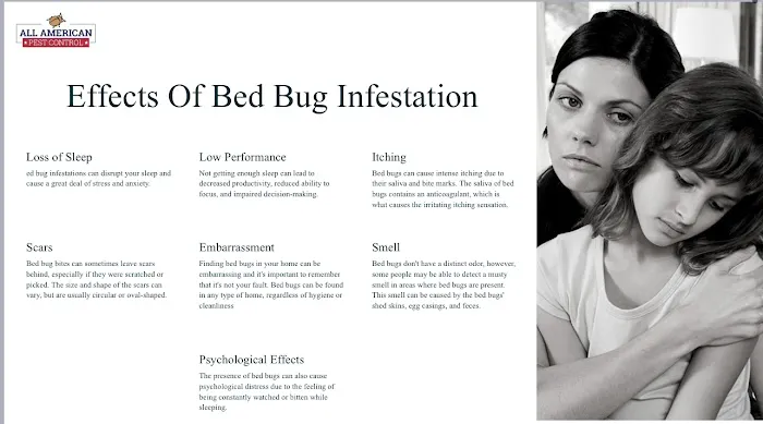All American Pest Control Picture 1