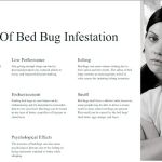 All American Pest Control