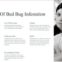 All American Pest Control ico