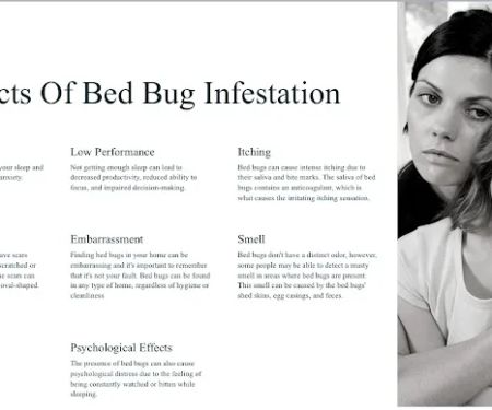 All American Pest Control