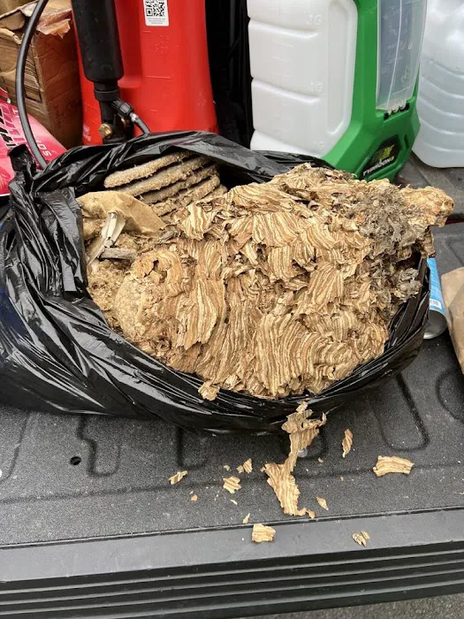 Connor's Pest Pros Picture 9