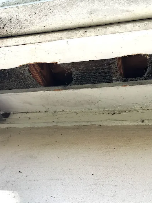 Rossi Pest Services Picture 6