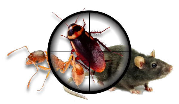 Primax Pest Control Services Picture 1