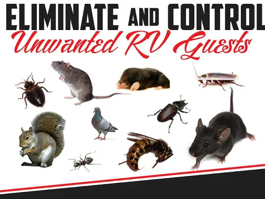 Primax Pest Control Services Picture 2