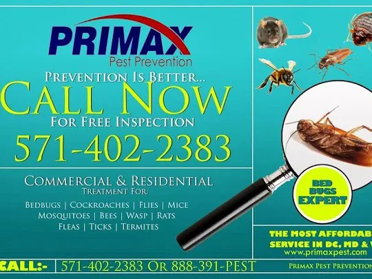Primax Pest Control Services Picture 3