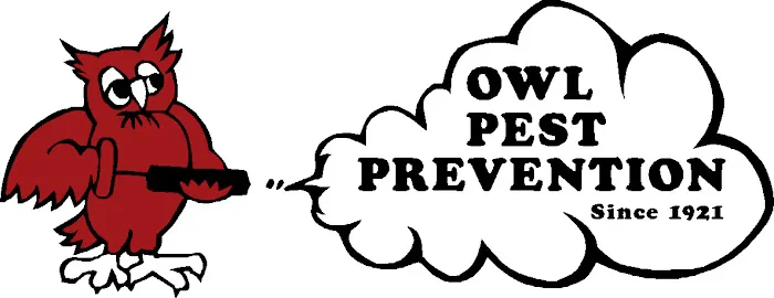 Owl Pest Prevention Picture 5