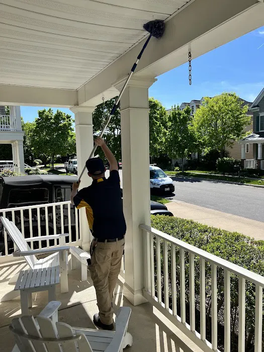 SPRK Pest Solutions Picture 7