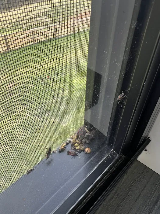 Turbo Pest Control - Stafford VA Picture 6