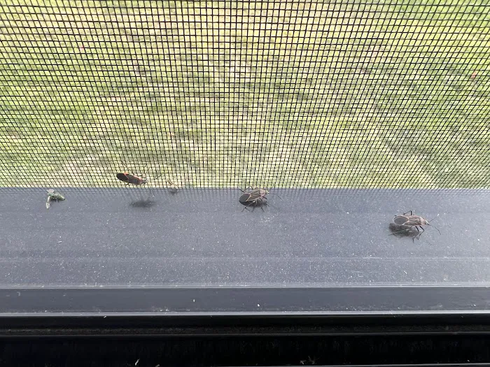 Turbo Pest Control - Stafford VA Picture 1