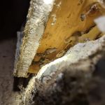 Allstates Termite Control Inc