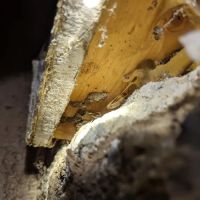 Allstates Termite Control Inc ico