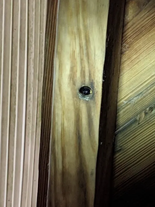 Allstates Termite Control Inc Picture 3
