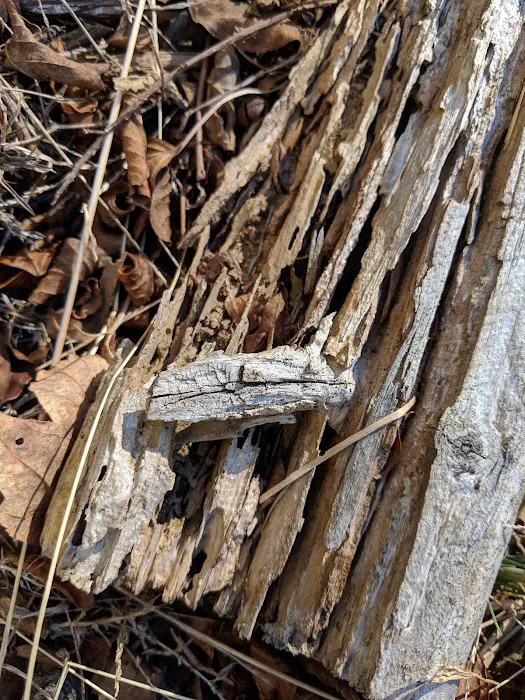 Allstates Termite Control Inc Picture 5