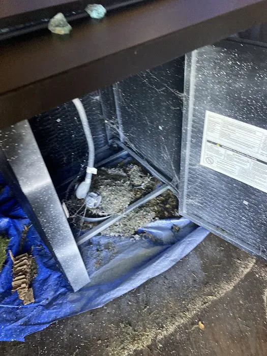 REIGN PEST SERVICES Picture 9