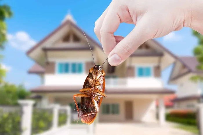 REIGN PEST SERVICES Picture 5