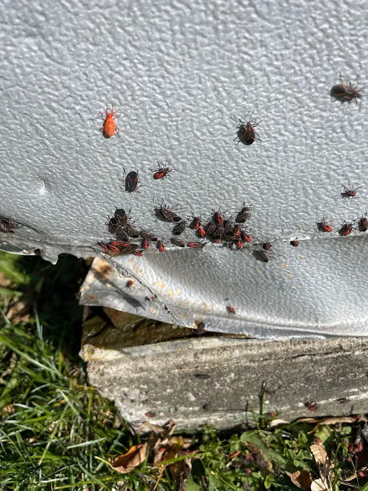 REIGN PEST SERVICES Picture 7